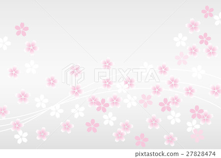 Sakuragi背景灰色 27828474