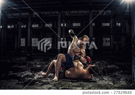 Battle of two boxers Battle of two boxers 27829688