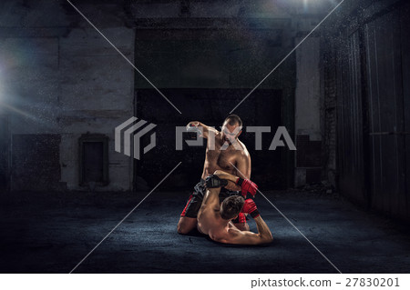 Battle of two boxers 27830201