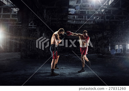 Battle of two boxers 27831260