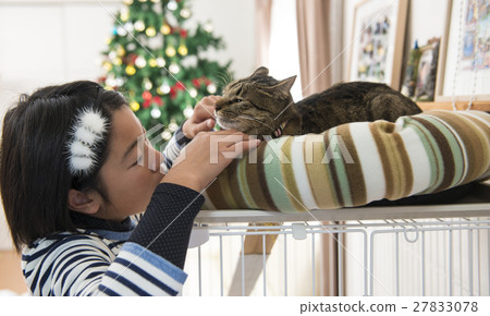 A girl playing with a cat 27833078