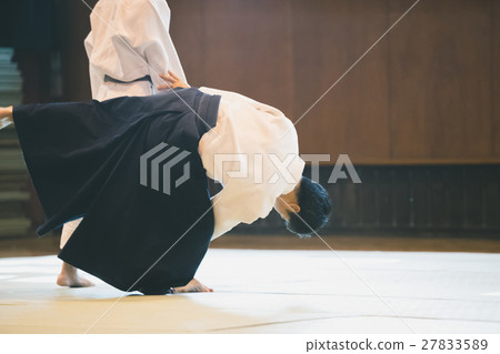 合氣道 武術 人 27833589