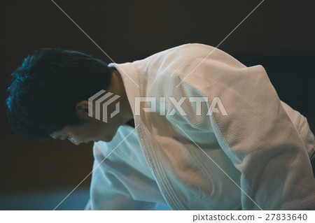 柔道 武術 人 27833640