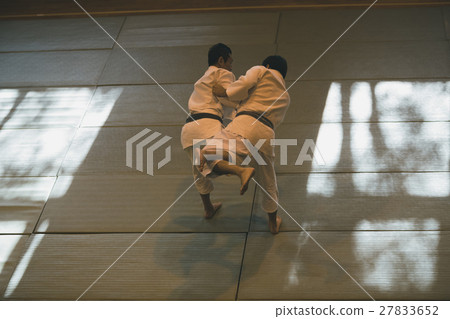 judo, martial arts, person 27833652