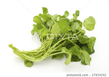 Watercress 27834242