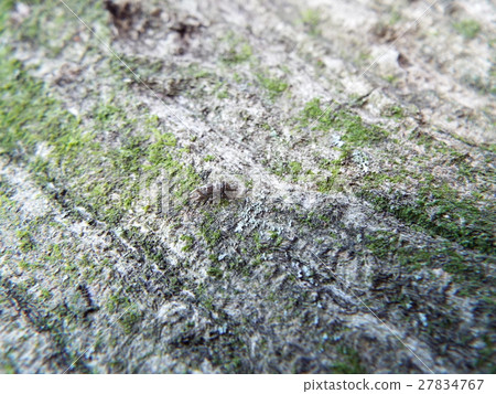 Uroko chatter 27834767