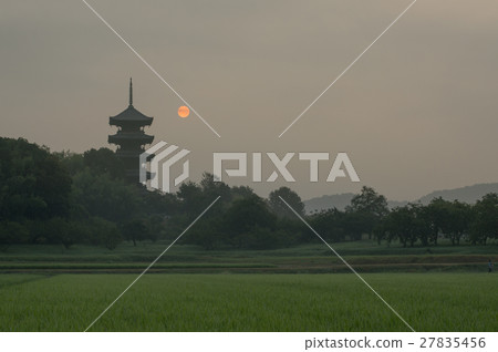 Bichu Kokubunji morning 27835456