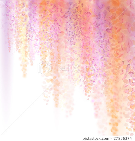 Spring background with blooming wisteria Spring background with blooming wisteria 27836374