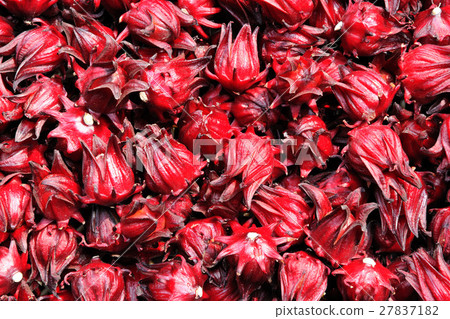 Rakushinhana Rakushinhana 27837182