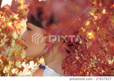 Brilliant autumn leaves and kimono female portrait Brilliant autumn leaves and kimono female portrait 27837927