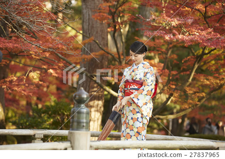 燦爛的秋葉和和服女性肖像 27837965