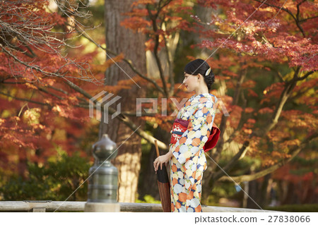 燦爛的秋葉和和服女性肖像 27838066