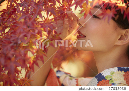 燦爛的秋葉和和服女性肖像 27838086