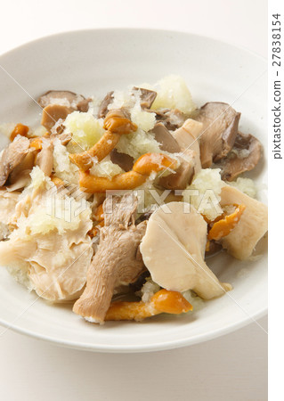 Mixture of miscellaneous mushrooms 27838154