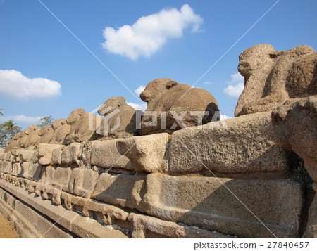 The outer wall of the coastal temple of the World Heritage Site "Mahabalipuram Buildings Group" (India) 27840457