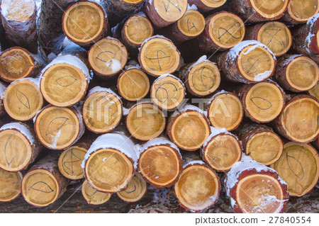 Background of firewood stacked in the cut wood 27840554