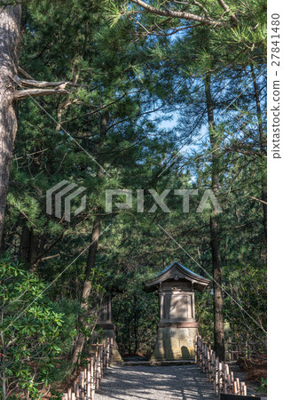 在松樹林中的神社 在松樹林中的神社 27841480