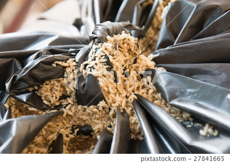 Fly larvae and black garbage bags Fly larvae and black garbage bags 27841665