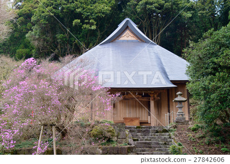 [Shizuoka Prefecture] Spring Murayama Sengen Shrine grounds, honeybee azalea 27842606