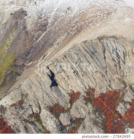 Autumn in Fitz Roy Moutain, Patagonia, El Chalten Autumn in Fitz Roy Moutain, Patagonia, El Chalten 27842695