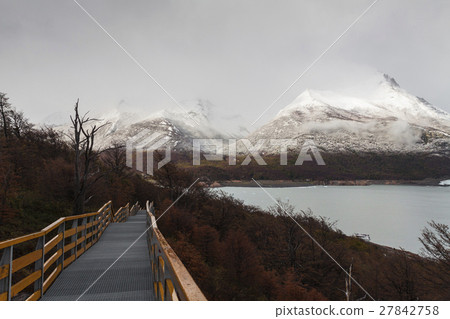 Glacier Perito Moreno, National Park Los Glasyares 27842758