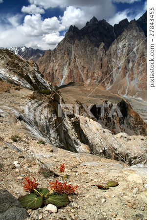 Stunning Karakorum mountains Stunning Karakorum mountains 27843458