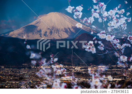 Bairin and Mt. Fuji 27843611