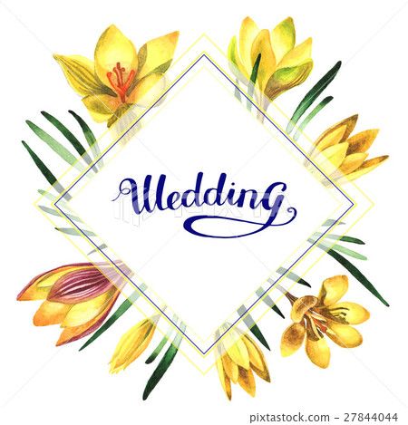 Wildflower crocuses flower frame in a watercolor Wildflower crocuses flower frame in a watercolor 27844044