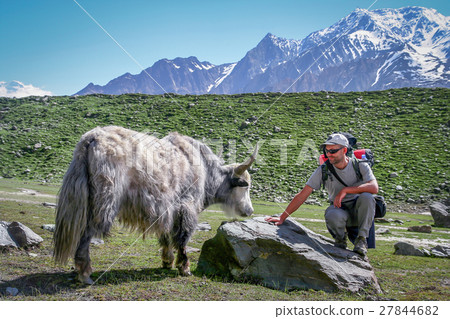 Meeting Yak 27844682