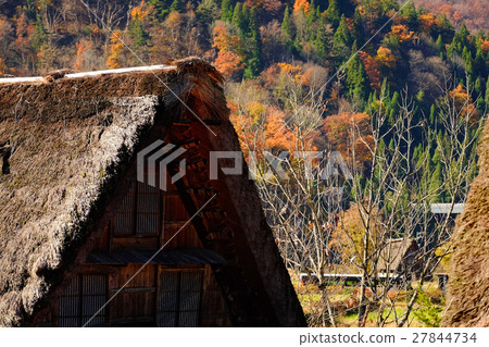 Shirakawa-go / Autumn (25) Shirakawa-go / Autumn (25) 27844734