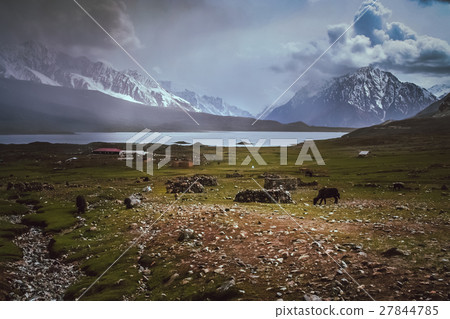 Shandur Lake Shandur Lake 27844785