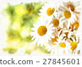 spring daisy flower field vintage 27845601