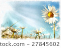 spring daisy flower field vintage 27845602