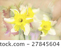 spring daffodils in garden, vintage watercolor 27845604