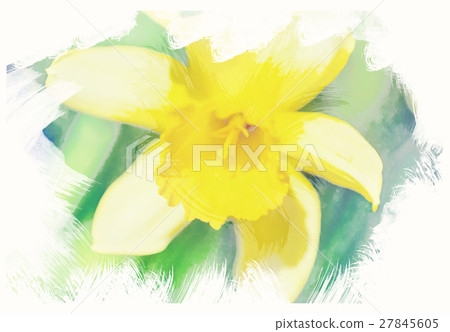 spring daffodils in garden, vintage watercolor 27845605