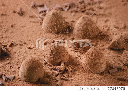 Chocolate truffles with cocoa powder 27848076