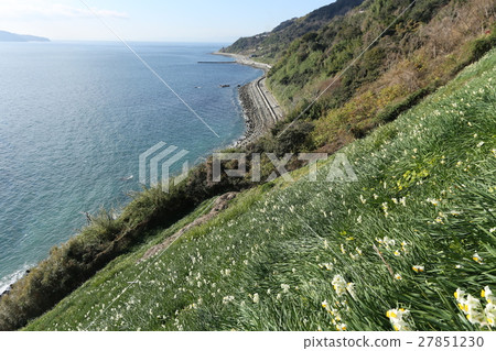 Nada Kuroiwa Water Sengoku Nada Kuroiwa Water Sengoku 27851230