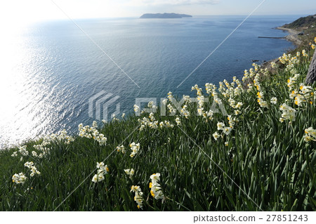 Nada Kuroiwa Water Sengoku 27851243