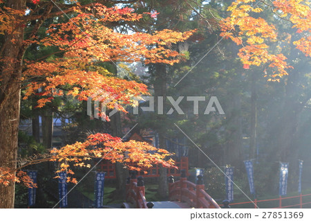 Autumn leaves of Mt. Koya Autumn leaves of Mt. Koya 27851369