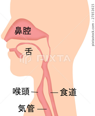 鼻喉部分 27851615