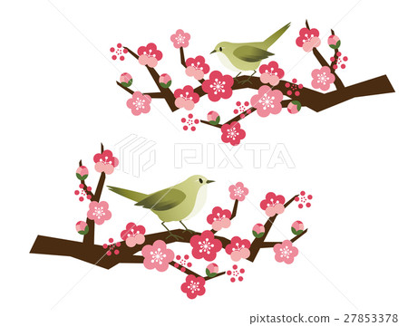 夜鶯 夜鶯 27853378