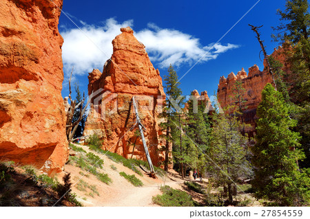 Scenic view of red hoodoos in Bryce Canyon 27854559