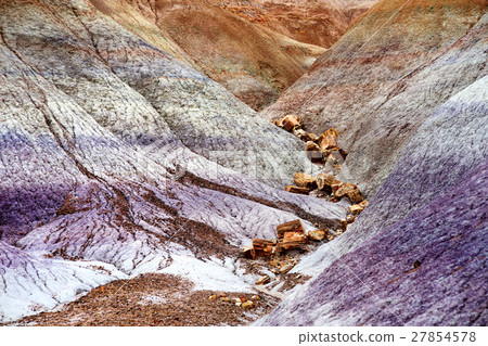 Striped purple formations of Blue Mesa badlands 27854578