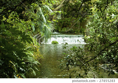 Spring water 27855283