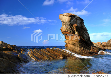 海狗石 海狗石 27855734