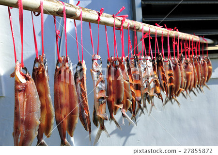 曬魚 曬魚 27855872