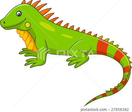 Cute iguana cartoon 27856392
