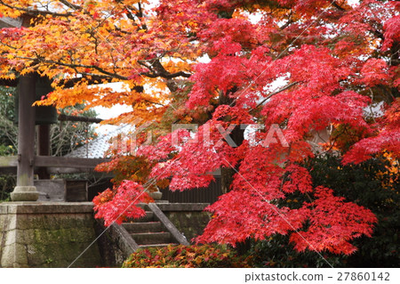 Autumn leaves of Zenji Temple 27860142