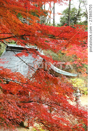 Zenji寺廟秋葉 Zenji寺廟秋葉 27860705