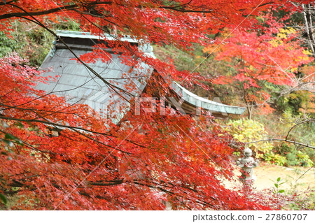 Autumn leaves of Zenji Temple 27860707